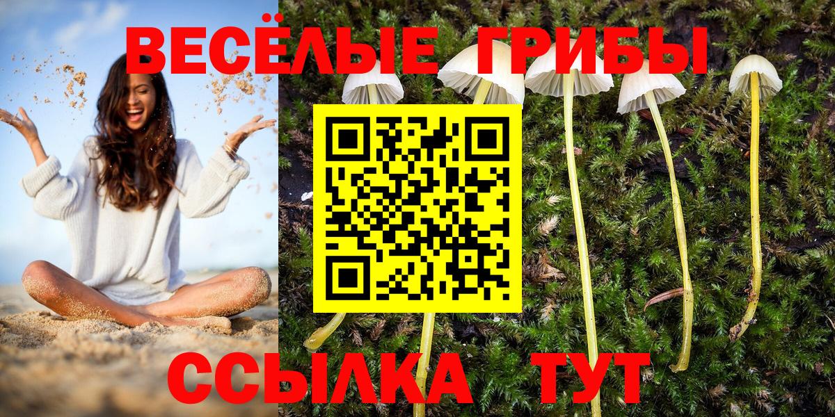 Псилоцибиновые грибы прущие грибы  Галлюциногенные грибы мицелий  наркотики  Бийск  Вход с VPN 